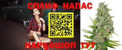 Альфа ПВП Заводоуковск